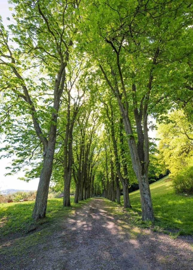 Artstetten Urlaub In Schlossnaehe מראה חיצוני תמונה